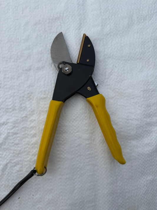 PRUNING SECATEUR with Sleeve
