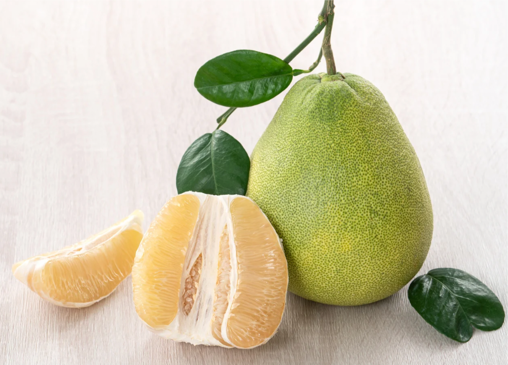 Pomalo (White) Fruit Plant