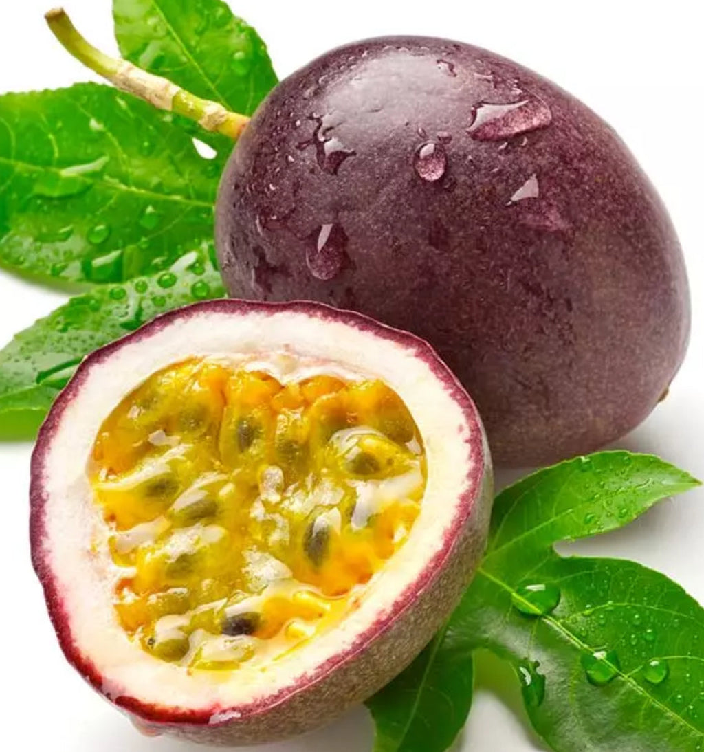 Passion Fruit Plant