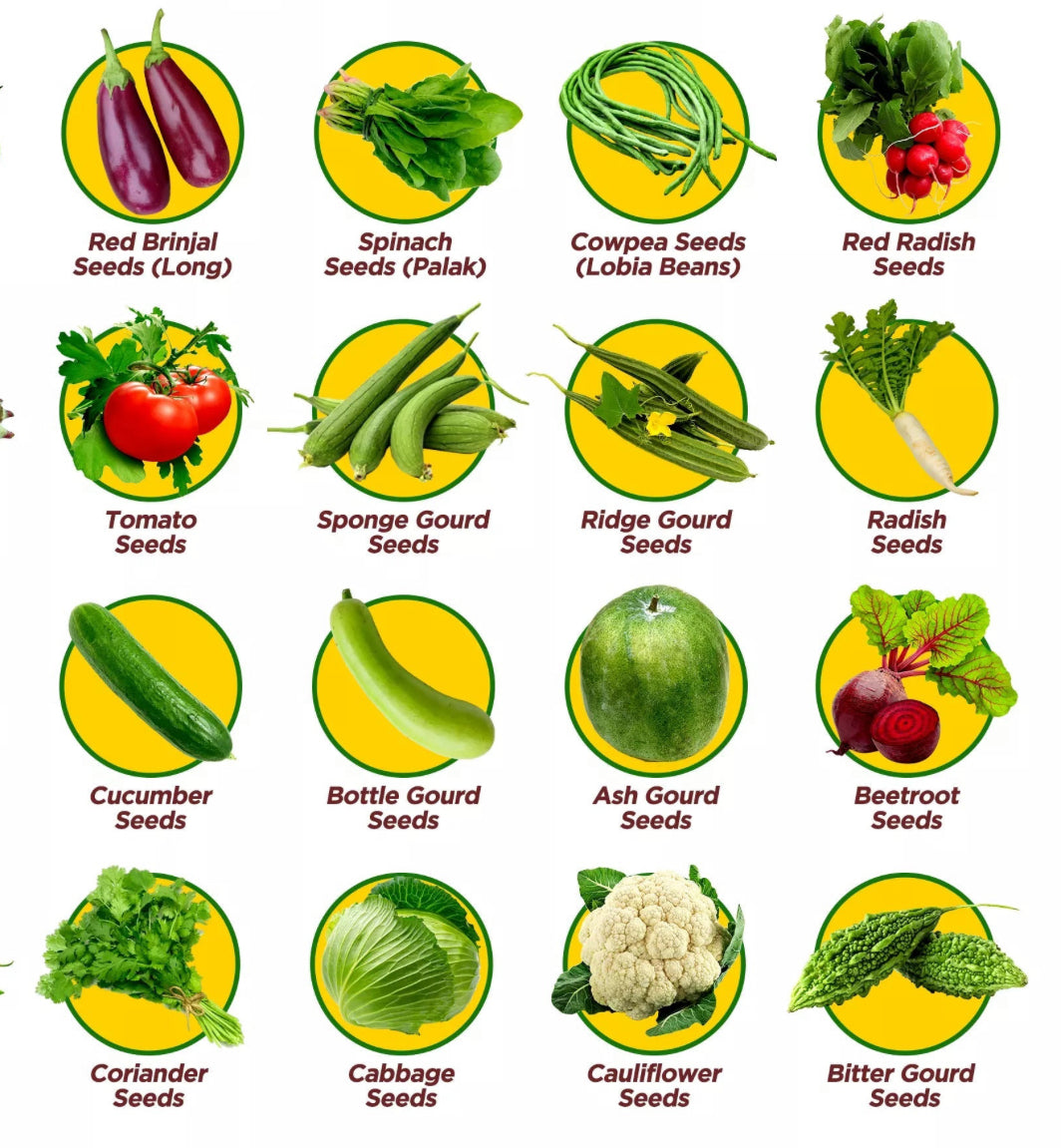 Vegitable seed kit