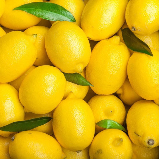 Thai Lemon Fruit Plant
